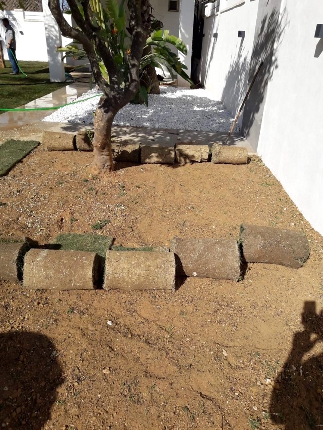 Trabajo de Jardinería Alfi en Sevilla