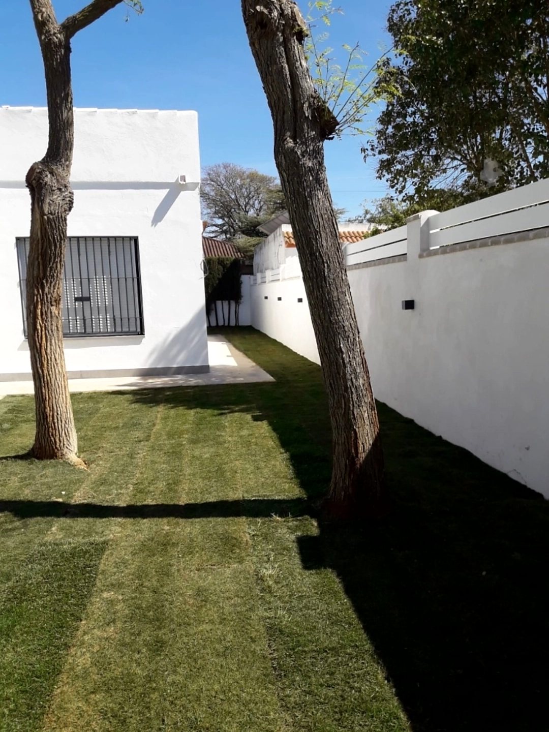 Trabajo de Jardinería Alfi en Sevilla