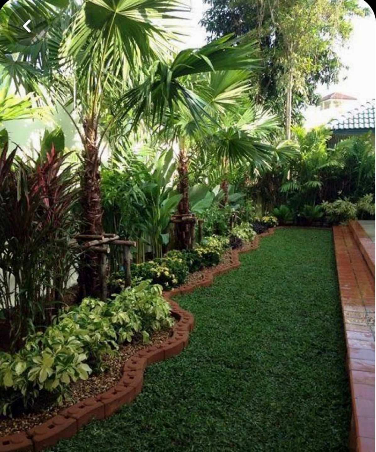 Trabajo de Jardinería Alfi en Sevilla