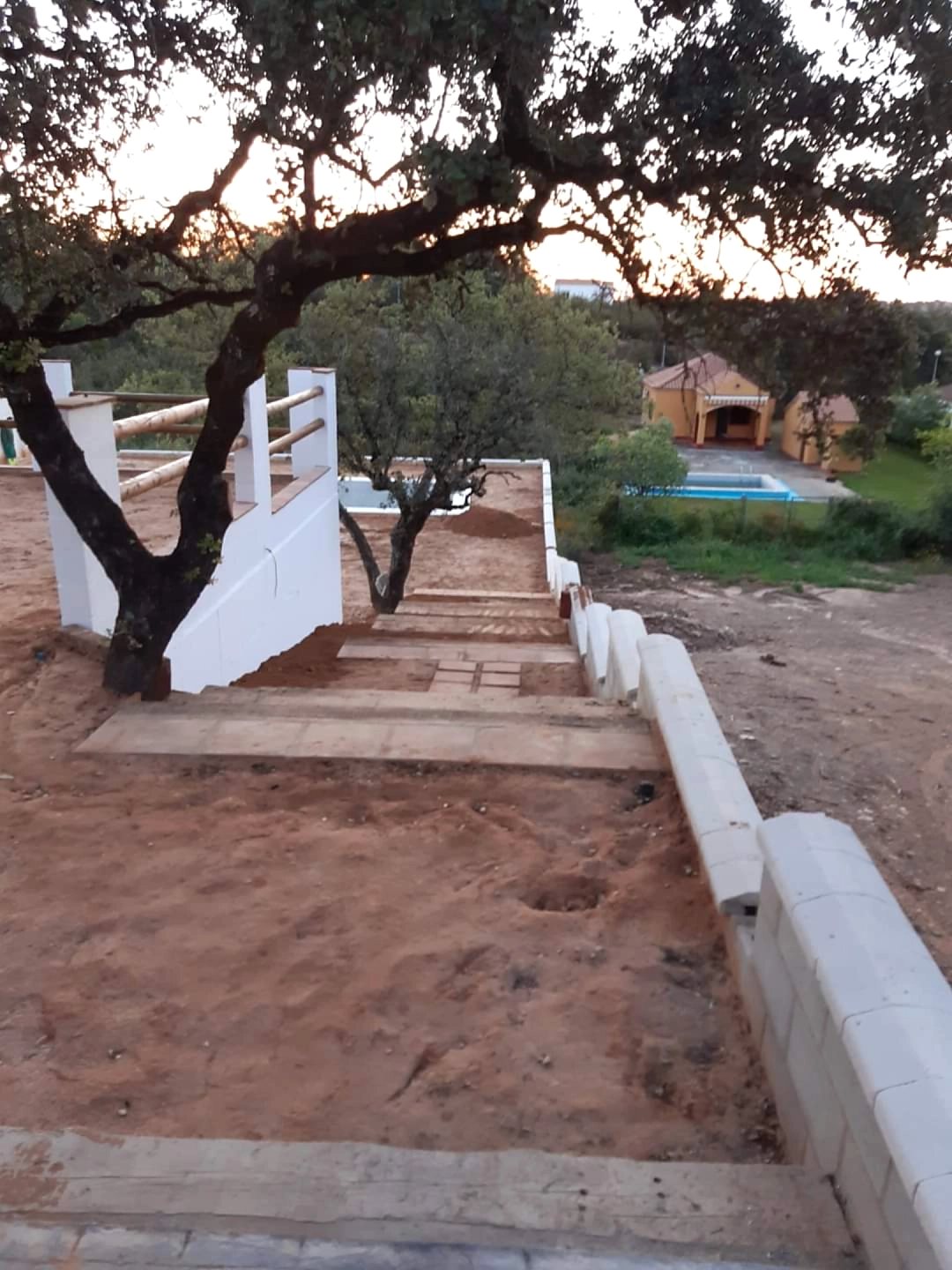 Trabajo de Jardinería Alfi en Sevilla