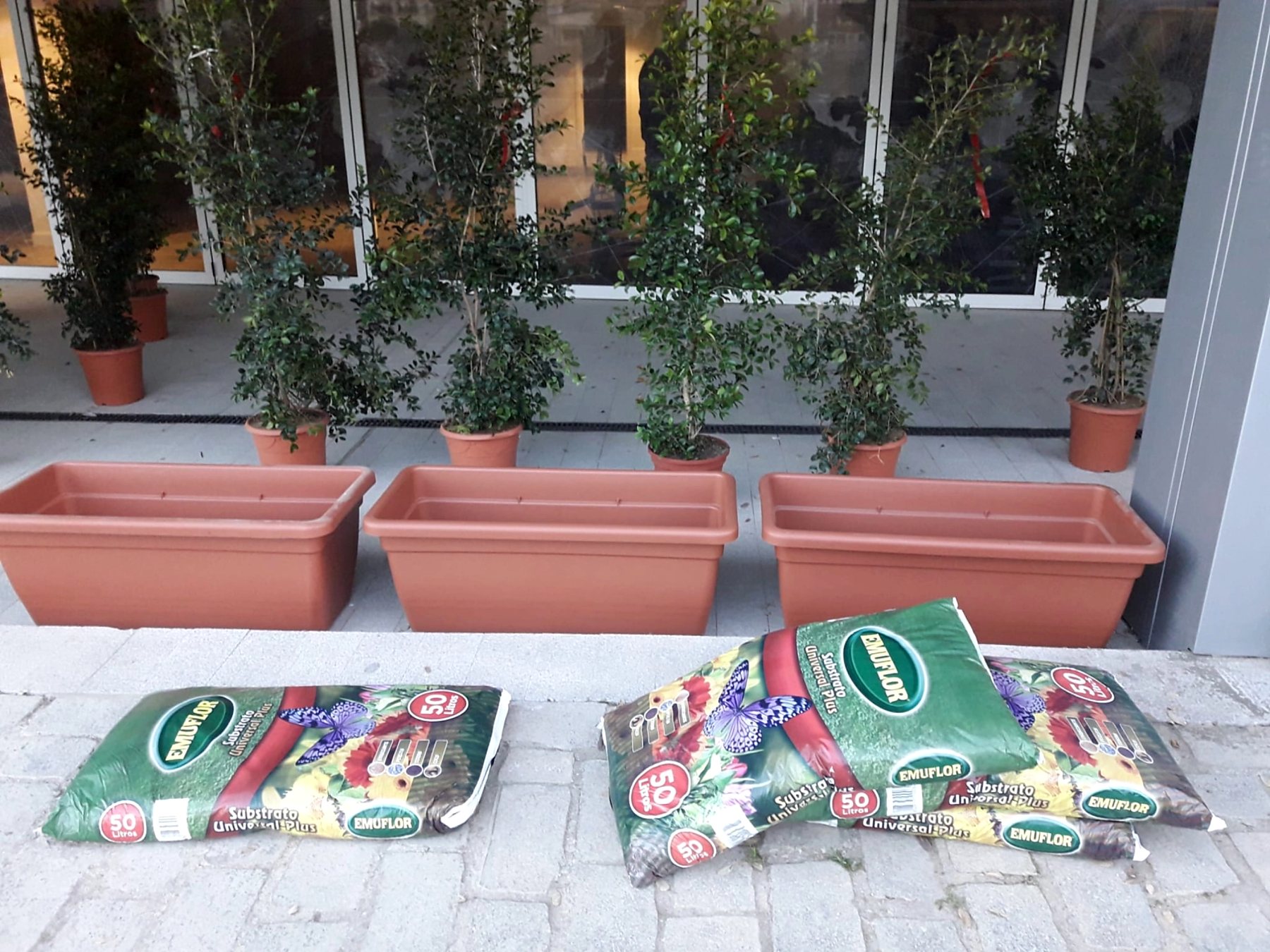 Trabajo de Jardinería Alfi en Sevilla